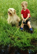 who's that in the grass?