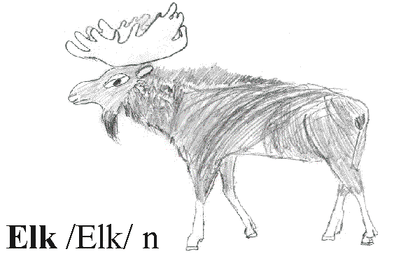 Elk